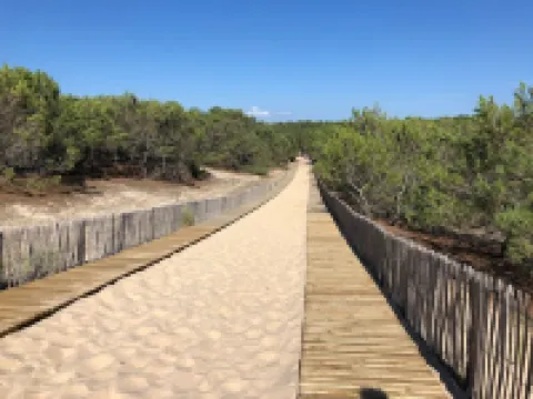 Appartement T1 Bis, 2 Pers., Centre-ville Andernos