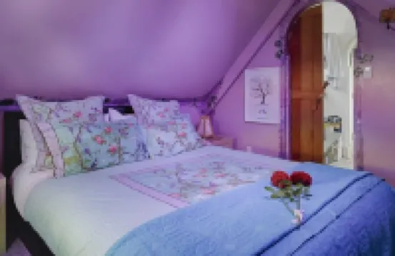 Birdsnest@PORT O BEIJO -Relaxed Accommodation Hotels in 