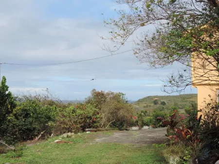 Caribbean bungalow, fountain of youth ...