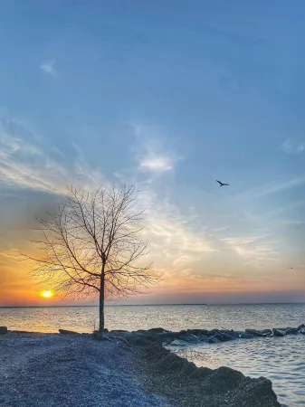 Family-Friendly Beach Getaway by Lake Erie, Beaches with King Bed