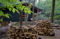 Nold forest house - 2星級