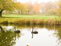 Spacious half-timbered house with garden in quiet position close to the forrest