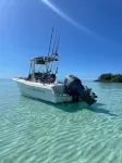 The Green Grouper, Oversized Beach Villa.