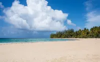 Private retreat with jungle spa, short walk from quiet beach