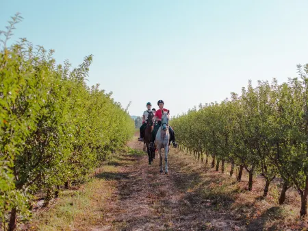 Munai Sardinia Отели в г. Carloforte