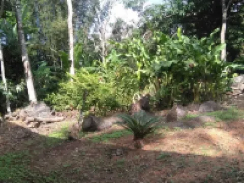 Nice House Natural Hoteles en Catemaco