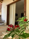 Pousada Borboleta Hotels in Canoa Quebrada