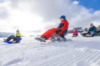 Mountain View Hotel Willingen, BW Signature Collection Hotels in Niedersfeld