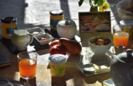 納澤勒內格龍昂布瓦斯城堡酒店