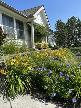Sunset View Beach Bungalow - Pets Allowed. Amazing covered deck and yard. Отели рядом с достопримечательностью «Cape May Lighthouse»