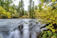Cozy, Charming Two Bedroom McKenzie Bridge River Front Cabin for 2 Guests,