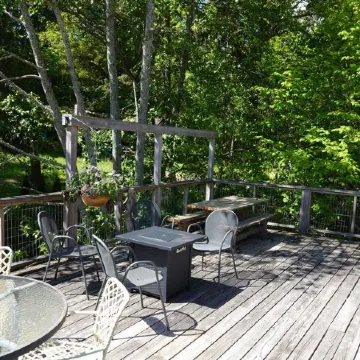 Waterfront cottage with tidelands, creek and waterfall!