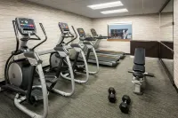 Courtyard Chicago O'Hare - gimnasio