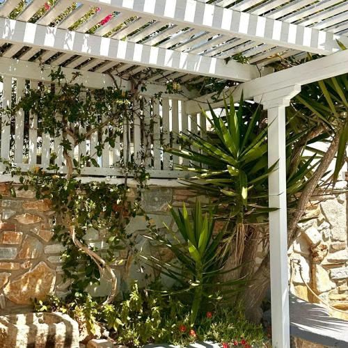 Hotel Markos Village Pension, Exterior, Garden