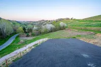 Katia House - Mimosa Apartment