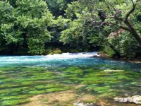 Fisherman's Haven Hotels in Dent County