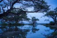 Black Panther Yala Standard Double Room