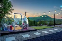 SummerFun! New Pool, JungleGym, Dome, HotTub&Sauna, Sleeps16+