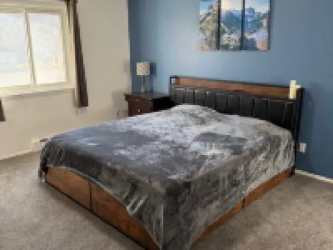 Carroll Park House With Game Room. 3 BR 2 Bath Fully Renovated Near Park Hotels in Alamosa