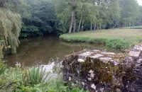 Repos au Bord de L'eau en Famille ou Seul Même Accompagné de vos Animaux