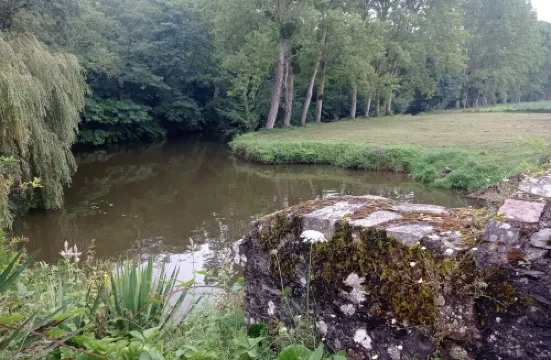 Repos au Bord de L'eau en Famille ou Seul Même Accompagné de vos Animaux