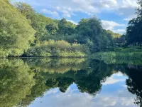 Rural Retreat near Dorking Hotels in Dorking