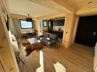 Luxurious 4-room chalet-style apartment. Cœur station d'Auron, 10 pers. Hotels in Auron