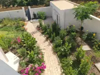 Independent studio in Warang