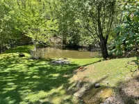 Zen Dome: Relax & Revive in the Beauty of Nature Hotels in Yancey County