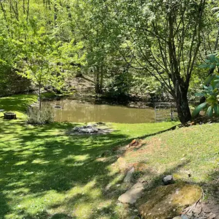 Zen Dome: Relax & Revive in the Beauty of Nature