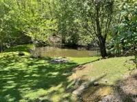 Zen Dome: Relax & Revive in the Beauty of Nature