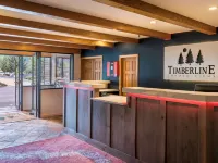 The Timberline Condominiums Hotels in Pitkin County