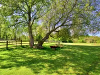 Cabin in New Forest with Private Woodland 拉姆西住宿飯店
