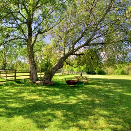 Cabin in New Forest with Private Woodland
