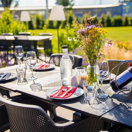 Ibis Plzen