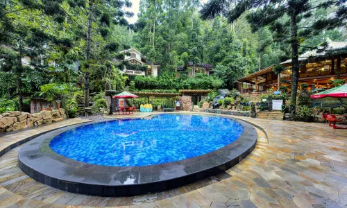 Safari Resort