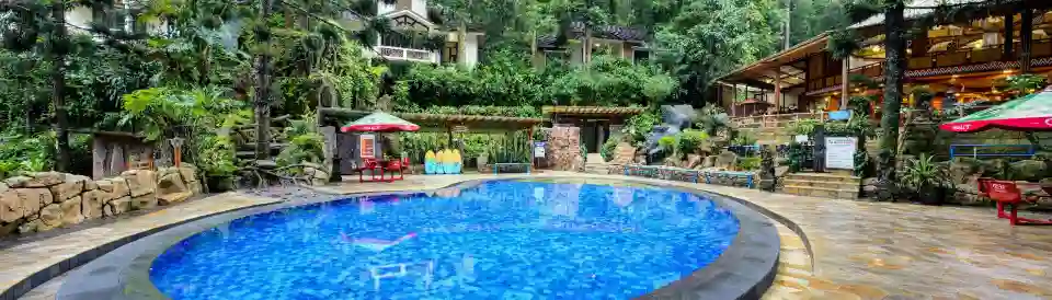 Safari Resort