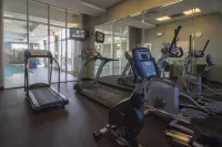 Holiday Inn PEARL - JACKSON AREA by IHG - Gym