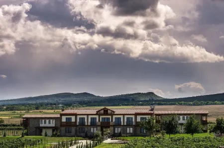 Château Mosmieri Hotel & Winery Отели в г. Кизискхеви
