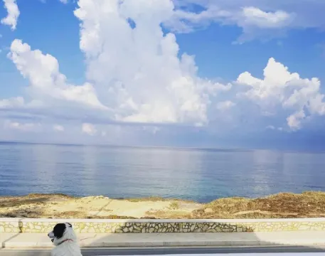 Loving Villa on the Mediterranean - Villa on the Sea