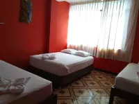 Plaza Jungle Hostel Hotels in 
