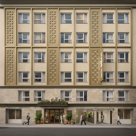 Hotel Schani City