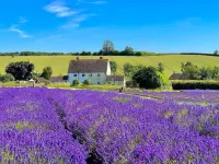 Red Lion Tavern Hotels in Chipping Campden