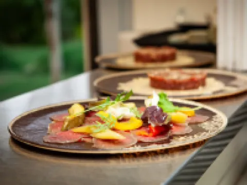 珊瑚酒店 厄爾巴島酒店