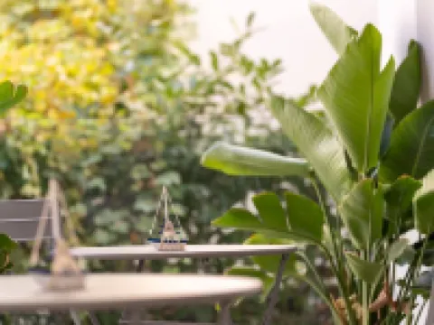 The Sea Hotel B&B adults only Hotels in Rivazzurra