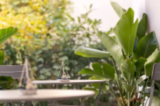 The Sea Hotel B&B adults only