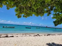 JO J's Hostel Hotels in Oistins