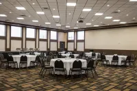 Chateau Nova Peace River - Pet friendly