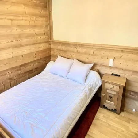 Apartment in French Alps near Ski Lifts