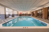 Drury Plaza Hotel St. Paul Downtown - Pools